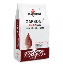 GARSONI NPK 16-16-8+1,2Mg ROOT POWER