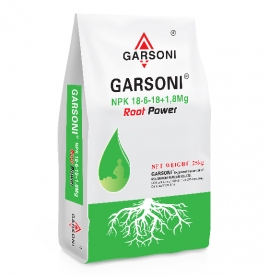 GARSONI NPK 18-6-18+1,8Mg ROOT POWER